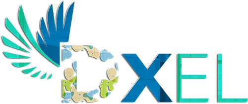 DXEL SHOP